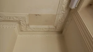 Cornice Repairs London by St James Plastering Services